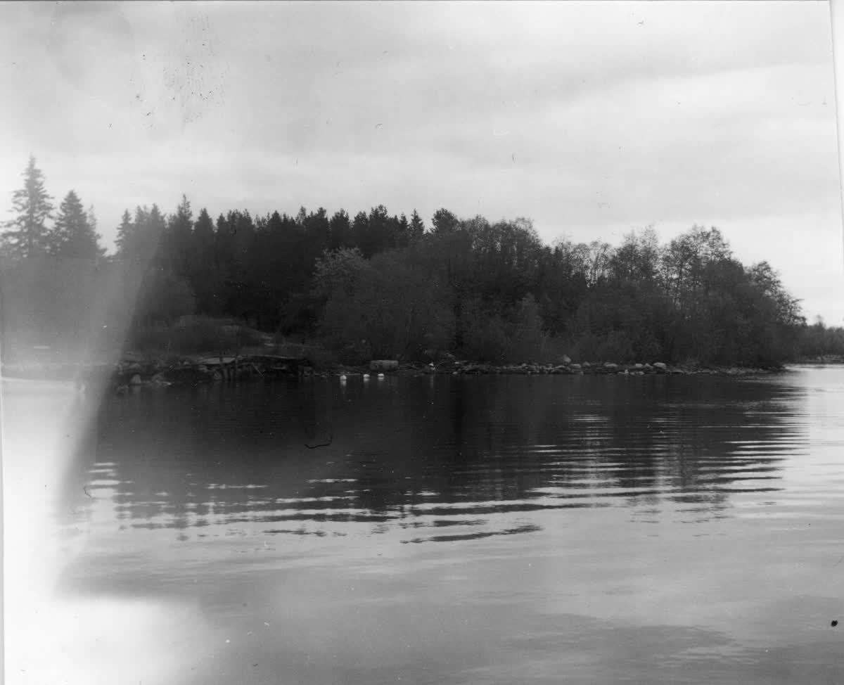 An old black and white photo of a forrested area by the water.